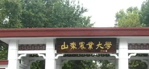 山东农业大学是一本吗