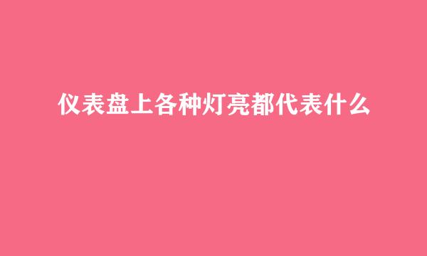 仪表盘上各种灯亮都代表什么