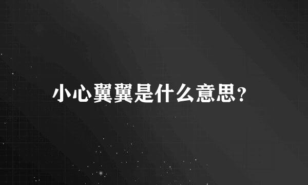 小心翼翼是什么意思？