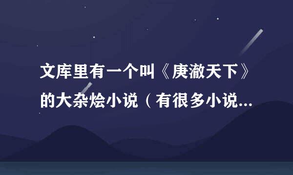 文库里有一个叫《庚澈天下》的大杂烩小说（有很多小说组成的）吗？