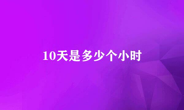 10天是多少个小时