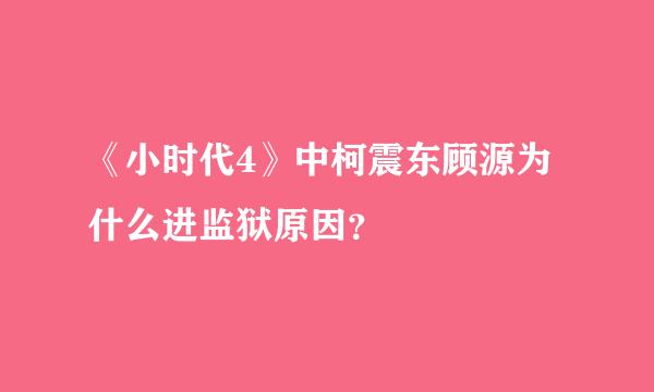 《小时代4》中柯震东顾源为什么进监狱原因？