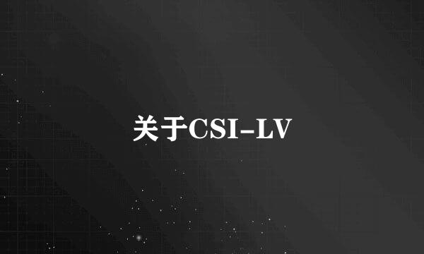 关于CSI-LV