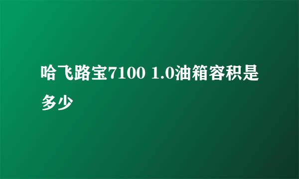 哈飞路宝7100 1.0油箱容积是多少