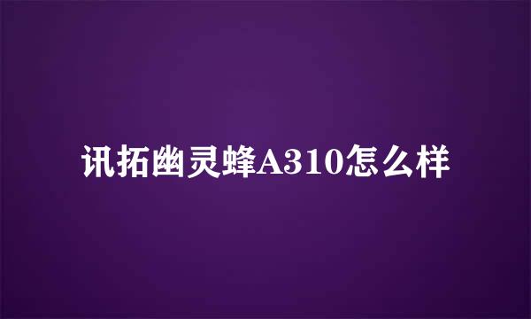 讯拓幽灵蜂A310怎么样