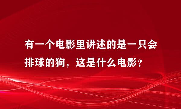 有一个电影里讲述的是一只会排球的狗，这是什么电影？