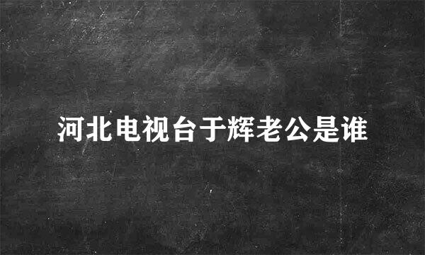 河北电视台于辉老公是谁