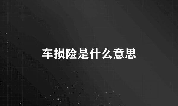 车损险是什么意思