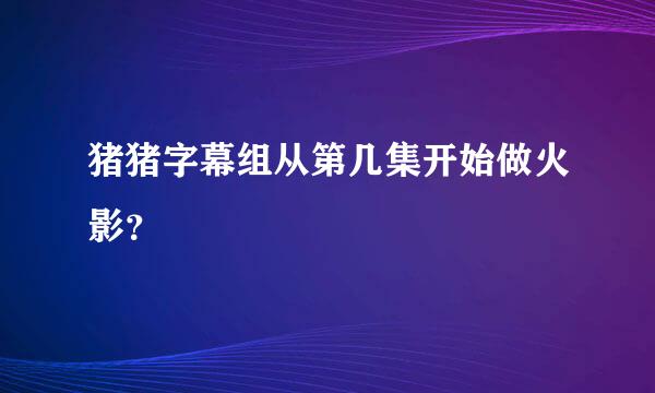 猪猪字幕组从第几集开始做火影？