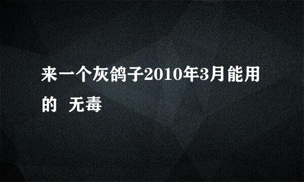 来一个灰鸽子2010年3月能用的  无毒