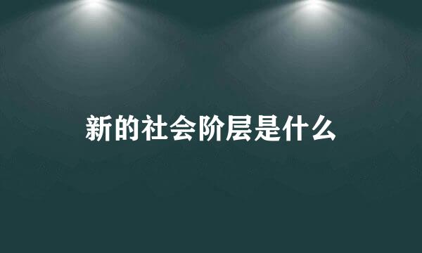 新的社会阶层是什么