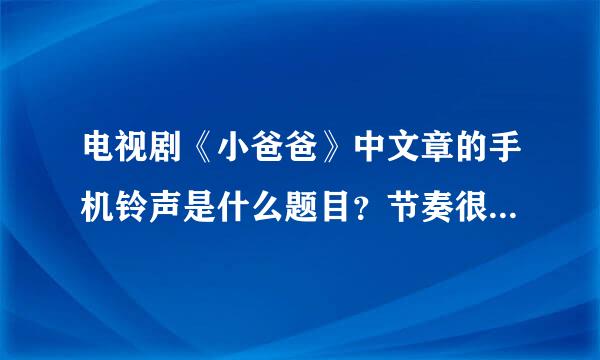 电视剧《小爸爸》中文章的手机铃声是什么题目？节奏很快的那个