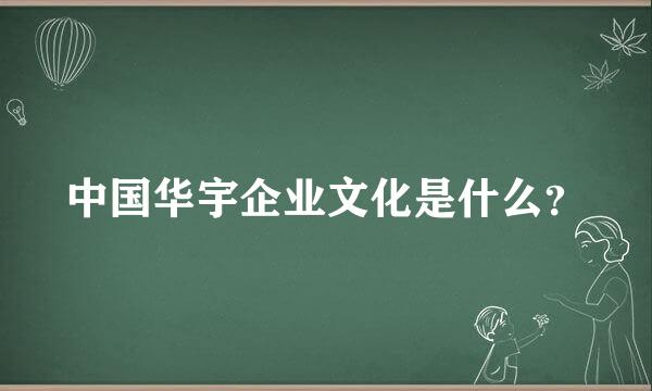 中国华宇企业文化是什么？