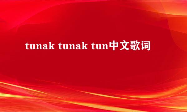 tunak tunak tun中文歌词