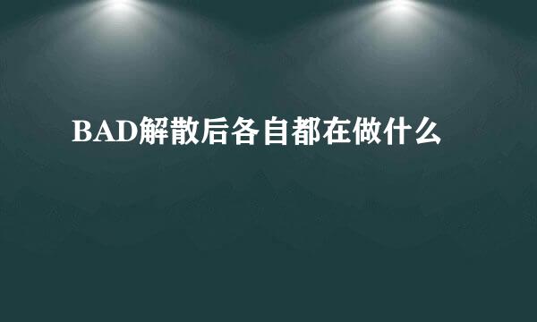 BAD解散后各自都在做什么