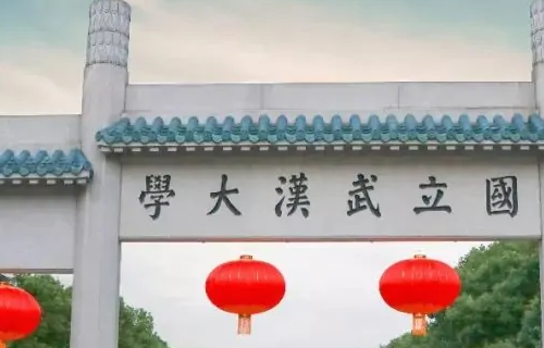 中国前十大学