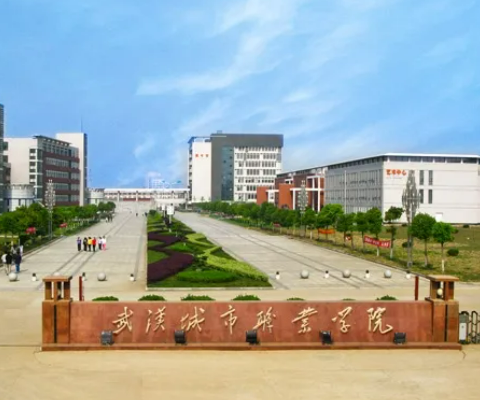 武汉专科学校有哪些大学