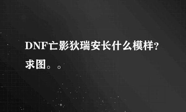 DNF亡影狄瑞安长什么模样？求图。。