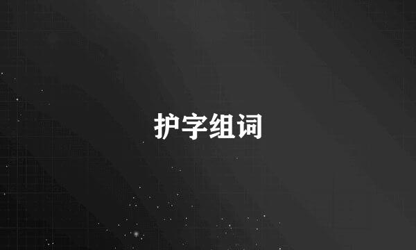 护字组词