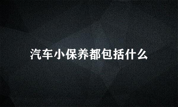 汽车小保养都包括什么