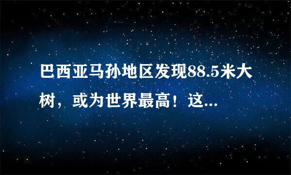 巴西亚马孙地区发现88.5米大树，或为世界最高！这树是怎么长这么高的？