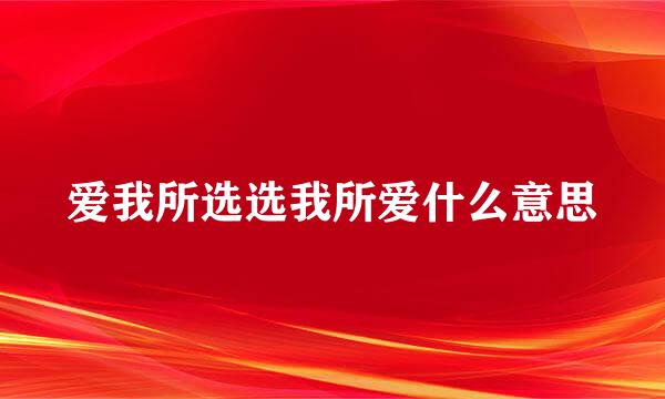 爱我所选选我所爱什么意思