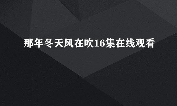 那年冬天风在吹16集在线观看