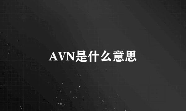 AVN是什么意思