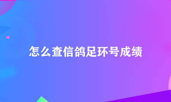 怎么查信鸽足环号成绩