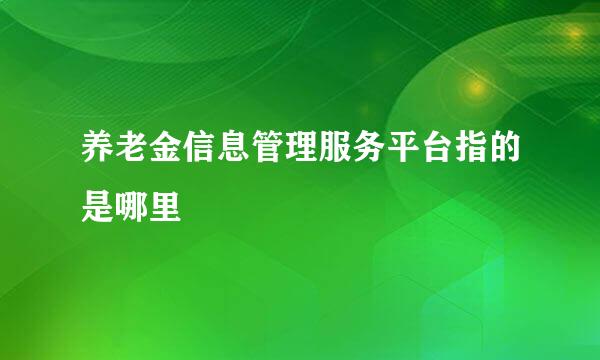 养老金信息管理服务平台指的是哪里