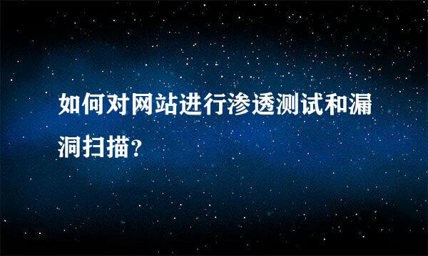 如何对网站进行渗透测试和漏洞扫描？