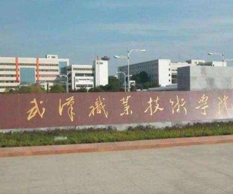 武汉专科学校有哪些大学