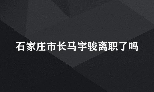 石家庄市长马宇骏离职了吗