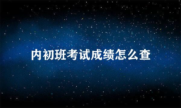 内初班考试成绩怎么查