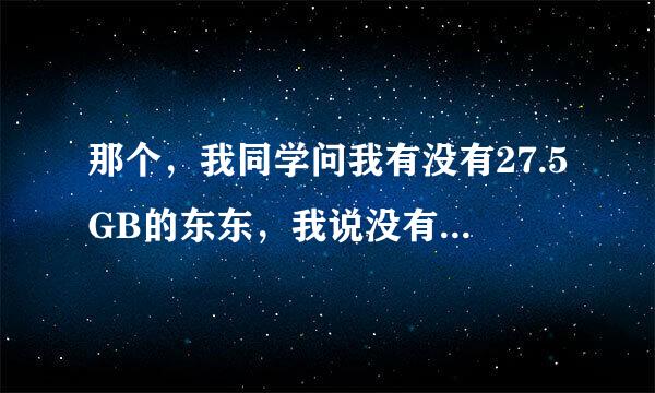 那个，我同学问我有没有27.5GB的东东，我说没有，他也没说是啥，求助是什么东东？ 是什么大型游戏吗？