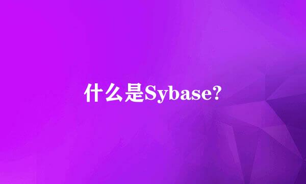 什么是Sybase?