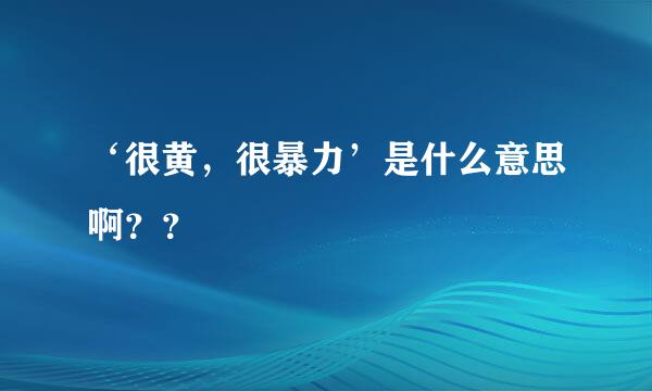 ‘很黄，很暴力’是什么意思啊？？