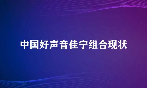 中国好声音佳宁组合现状