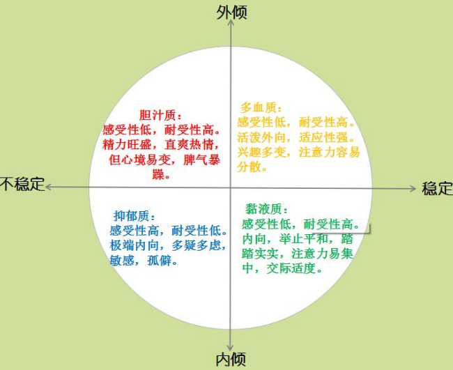 气质类型有哪四种?