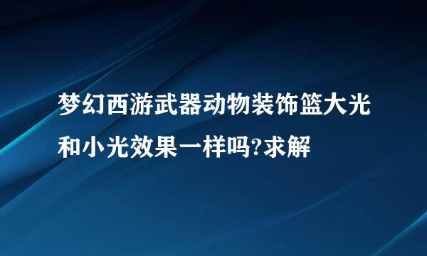 梦幻西游武器动物装饰篮大光和小光效果一样吗?求解