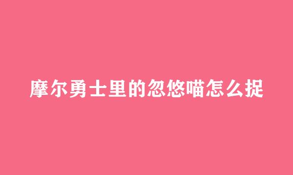 摩尔勇士里的忽悠喵怎么捉