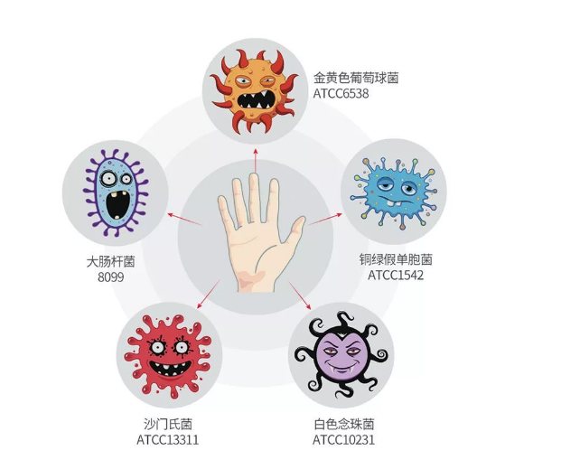 每个指甲缝内会有4.5到5万个细菌，这些细菌究竟从何而来？