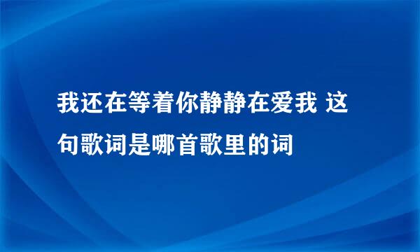 我还在等着你静静在爱我 这句歌词是哪首歌里的词