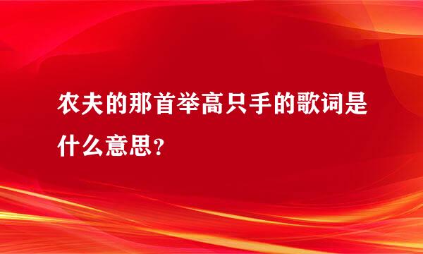 农夫的那首举高只手的歌词是什么意思？