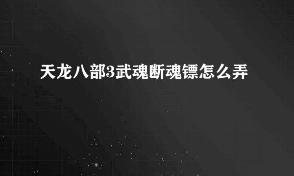 天龙八部3武魂断魂镖怎么弄