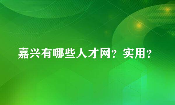 嘉兴有哪些人才网？实用？