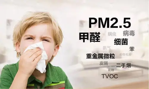 pm2.5正常值是多少?