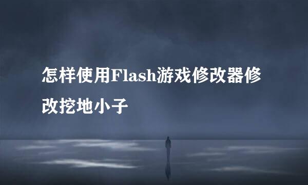 怎样使用Flash游戏修改器修改挖地小子