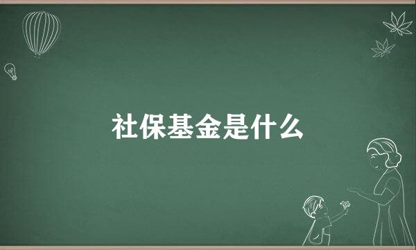 社保基金是什么