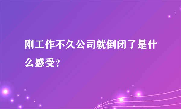 刚工作不久公司就倒闭了是什么感受？